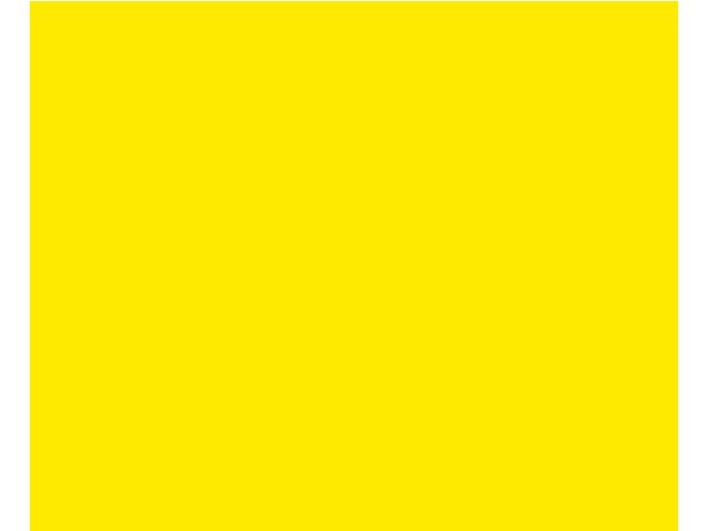 Large Yellow Flag